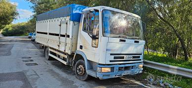 Camion trasporto bestiame IVECO Eurocargo 75E14