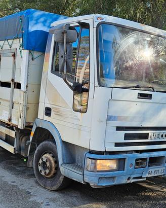 Camion trasporto bestiame IVECO Eurocargo 75E14