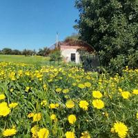 Terreno - Pozzallo