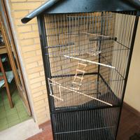 Voliera
