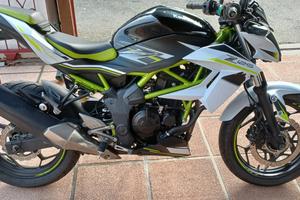 Kawasaki Z 125 - 2021