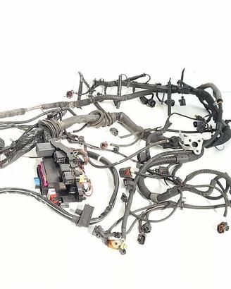 CABLAGGIO ELETTRICO MOTORE AUDI A5 «8T3» (2008)