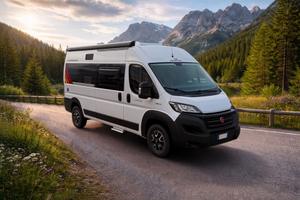 Roller Team Livingstone 2 Sport Limited edition