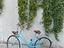 Immagine 4