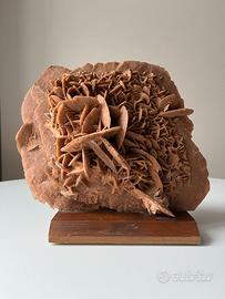 Grande minerale Rosa del deserto