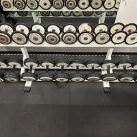 Rastrelliera tecnogym