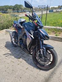 Kawasaki Z1000 2019