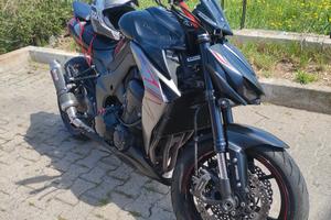 Kawasaki Z1000 2019