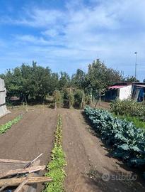 RGE 50/2024 Trib Barcellona PG - LOTTO 3