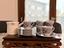 Immagine 6