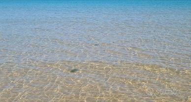 LAST MINUTE DAL 16 al 30 Agosto e Settembre