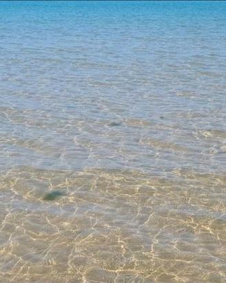 LAST MINUTE DAL 16 al 30 Agosto e Settembre