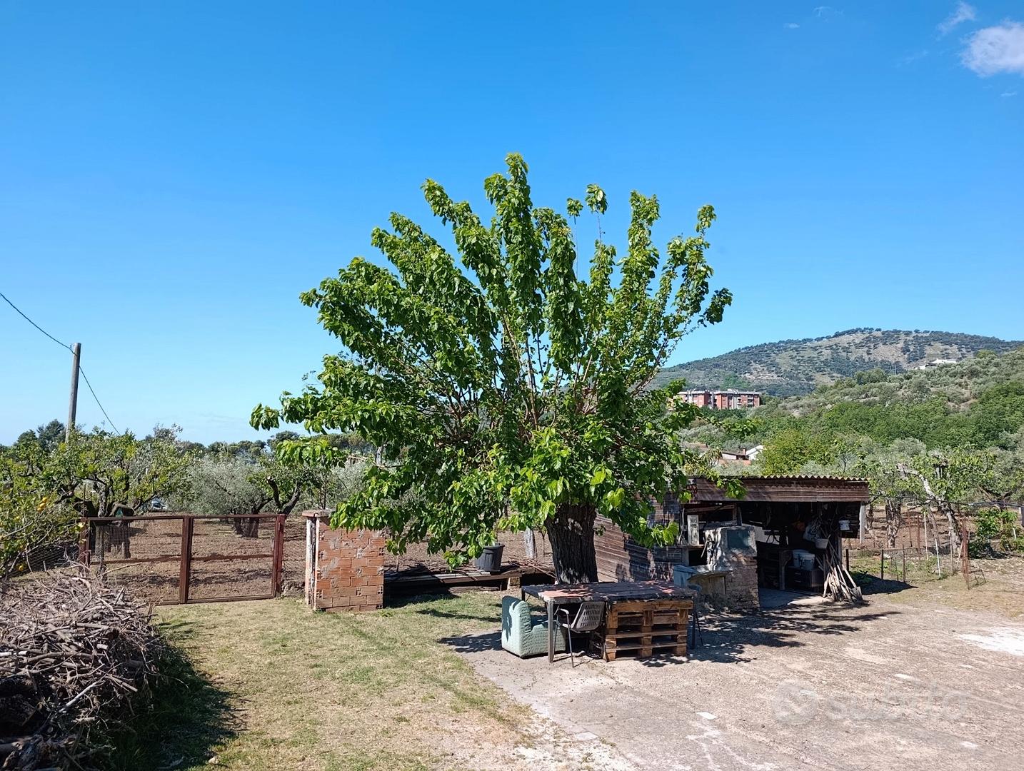 Casa con terreno - Altro