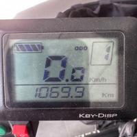 Bici elettrica Italmate