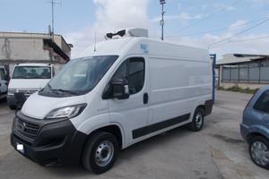 Iveco fiat ducato anno 2021 frigo L2H2 e.6