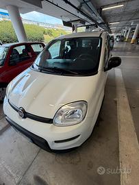 🚗 Fiat Panda 2024 – UNICO PROPRIETARIO – PERFETTA