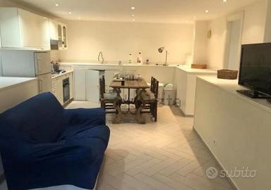 appartamento in villa euro 700