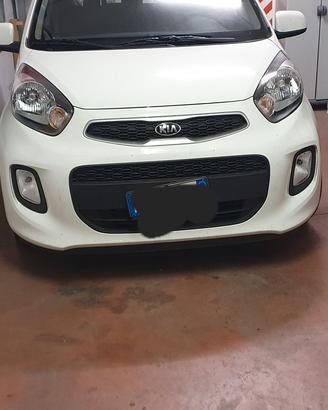 kia picanto urban 2016