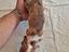 Immagine 5