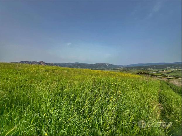 Terreno collinare vista panoramica fiume Coghinas