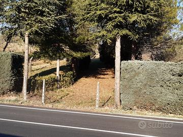Terreno bivio Campodipietra