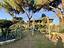 Immagine 22