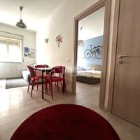 LUMINOSO BILOCALE RISTRUTTURATO