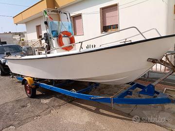 barca 5 mt carrello omologato e n°2 motori