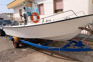 barca 5 mt carrello omologato e n°2 motori