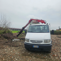 Renault mascott