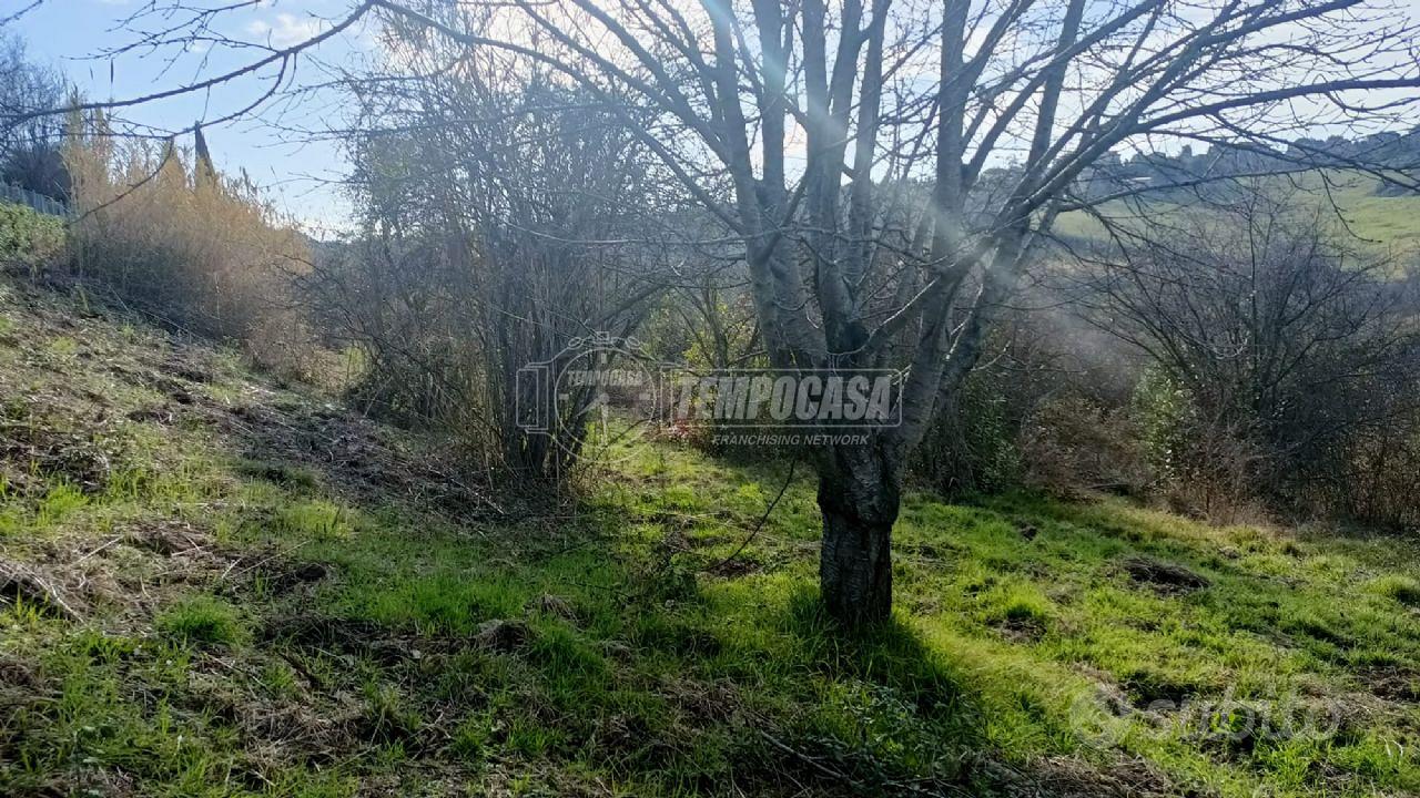 TERRENO AGRICOLO - Vista 2