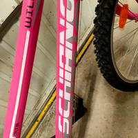 MTB F. lli Schiano wild cat 24
