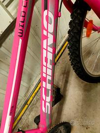 MTB F. lli Schiano wild cat 24