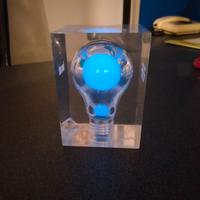 Scultura in lucite resinata "Neon" Pierre Giraudon