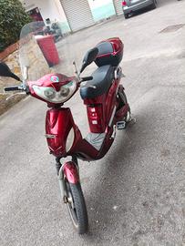 motore elettrico 