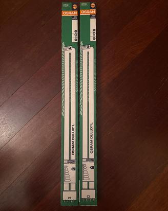 lampade  osram dulux L
