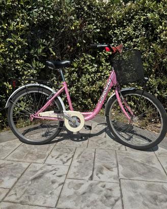 Bicicletta Alpina