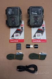 Coppia Controllo Fauna Flora Persone Monitoraggio