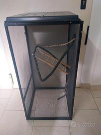 teca rettile 