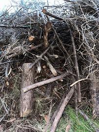 GRATIS Legna da ardere secca - ritiro