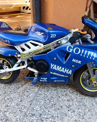 minimoto 46