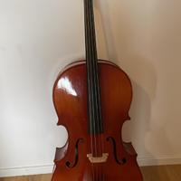 Violoncello