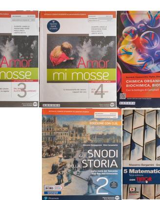Libri 4 e 5 liceo metà prezzo: