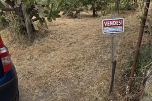 TERRENO VERDE AGRICOLO Contrada Roccabianca