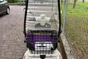 Scooter elettrico 3 ruote