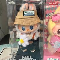 Fall in wild