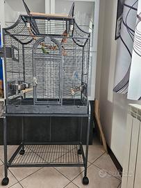 gabbia per pappagalli 