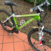 MTB Olympia 26”