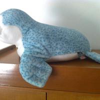 Foca Trudi