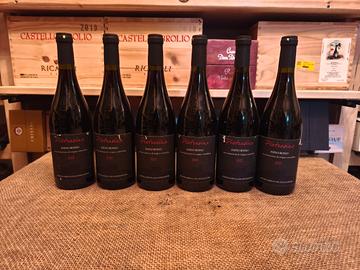 6 bottiglie vino rosso marche